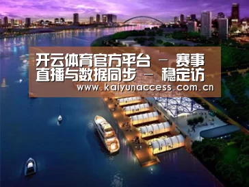 案例展示八