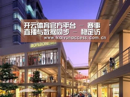 案例展示一