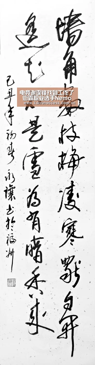 电竞谢霆锋找到工作了 街霸职业选手Nemo入职SE-开云体育首页(图2) KAIYUN入口