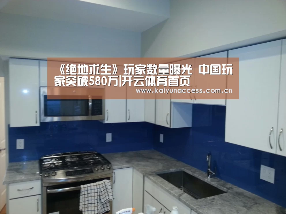 《绝地求生》玩家数量曝光 中国玩家突破580万|开云体育首页(图1) 开云体育