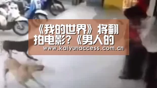 《我的世界》将翻拍电影?《男人的诞生》募资中_开云体育(图1) 开云体育