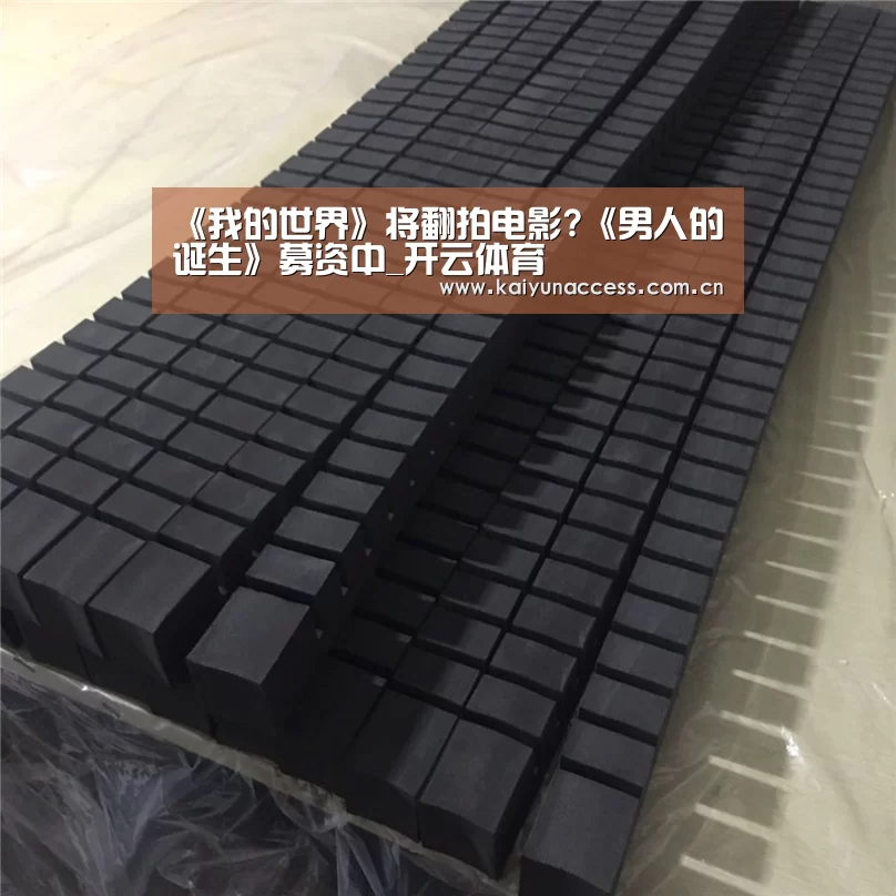 《我的世界》将翻拍电影?《男人的诞生》募资中_开云体育(图3) 开云体育