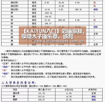 KAIYUN入口