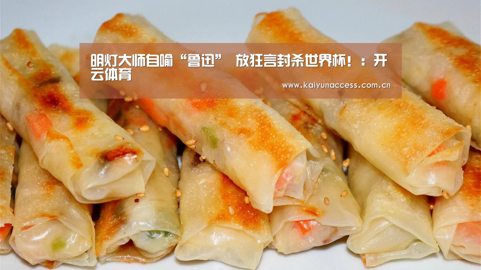 开云体育官方入口