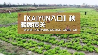 开云体育首页
