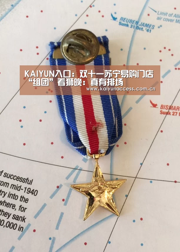 KAIYUN入口:双十一苏宁易购门店“组团”看狮晚:真有排场(图3) 开云体育首页