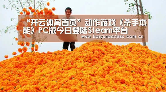 开云体育首页