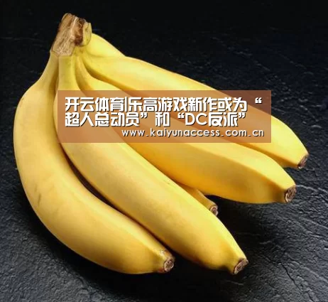 开云体育|乐高游戏新作或为“超人总动员”和“DC反派”相关(图2) KAIYUN入口
